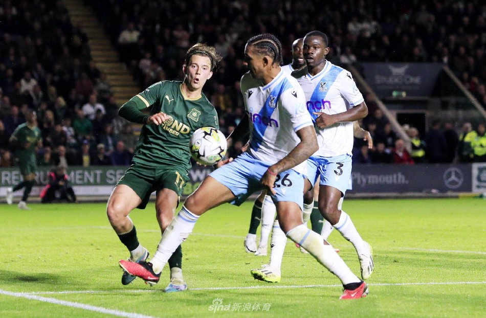 可以看出 可以看出